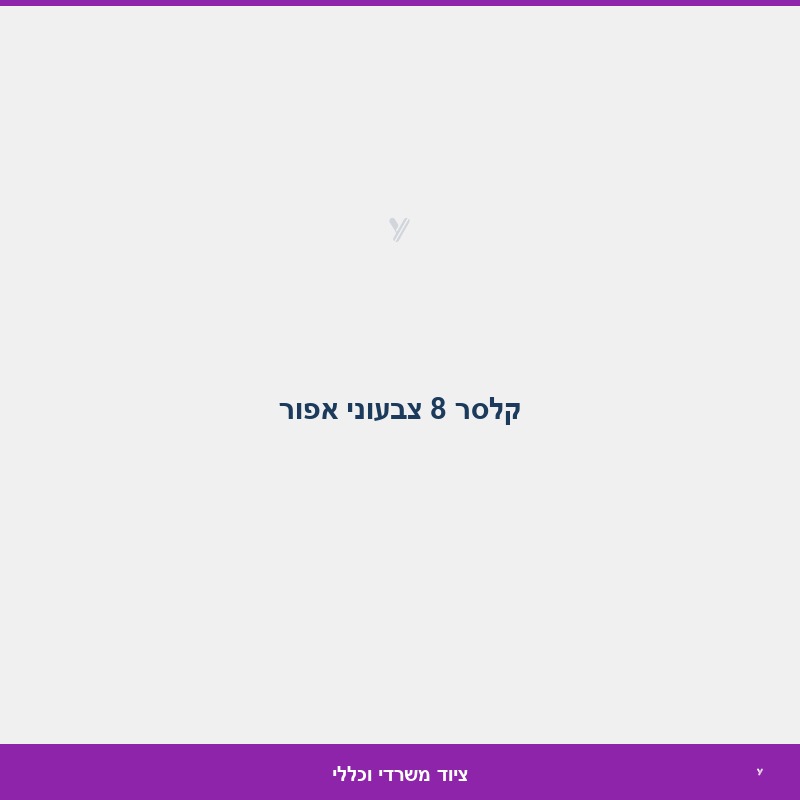 קלסר 8 צבעוני אפור