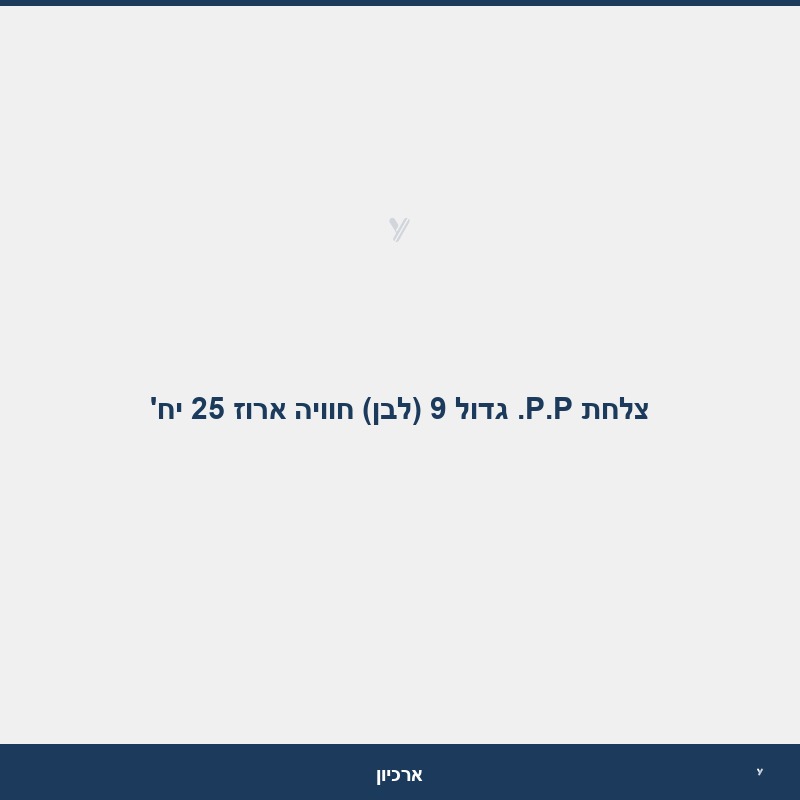 צלחת P.P. גדול 9 (לבן) חוויה ארוז 25 יח'