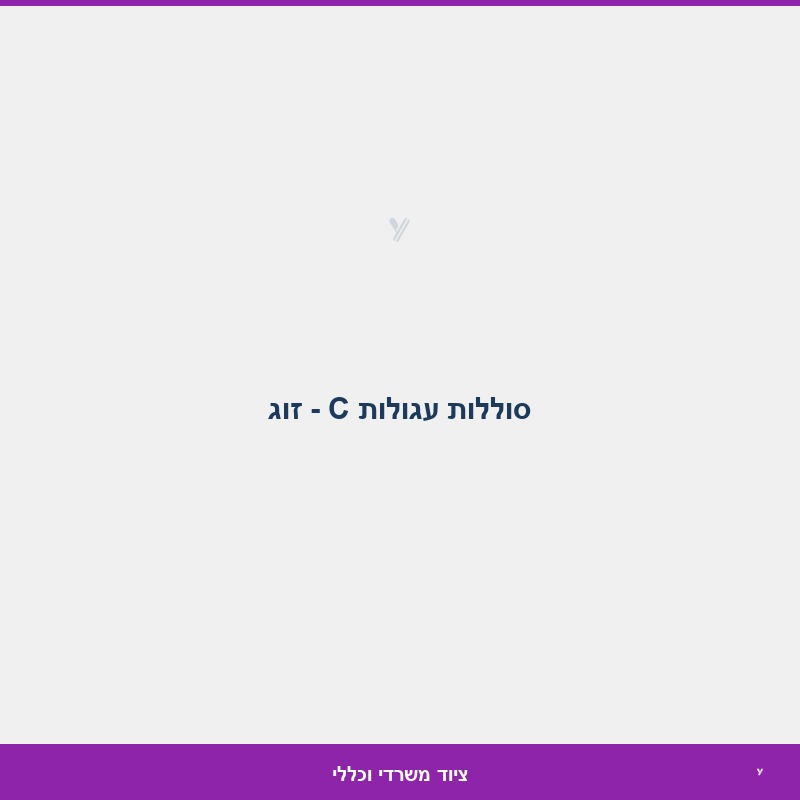 סוללות עגולות C - זוג