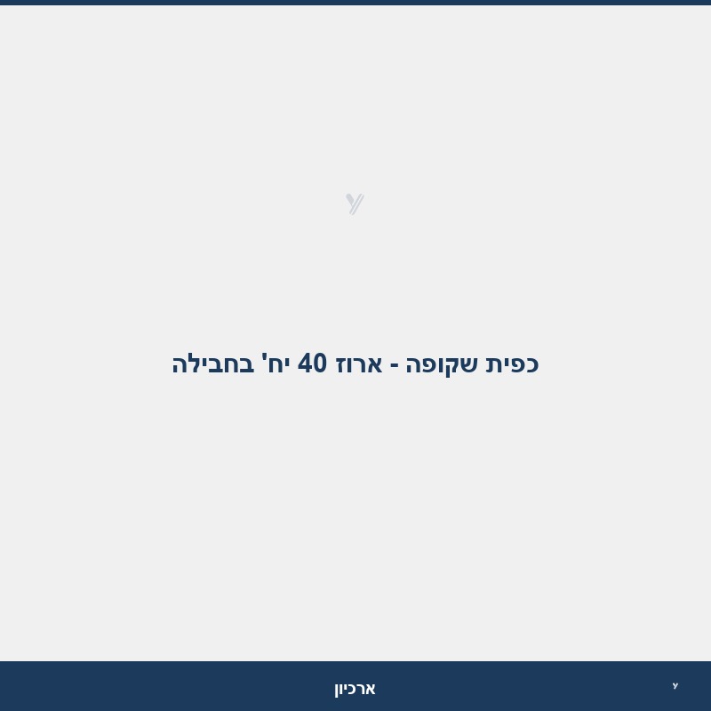 כפית שקופה - ארוז 40 יח' בחבילה